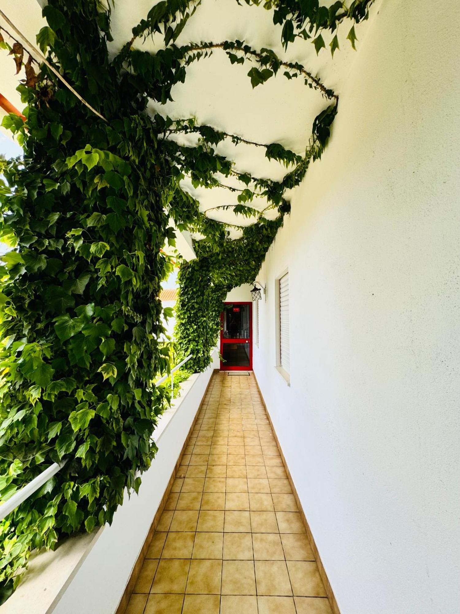 Nature & Beach Guest Rooms, Aldeamento Turistico Do Camarido Cristelo  外观 照片