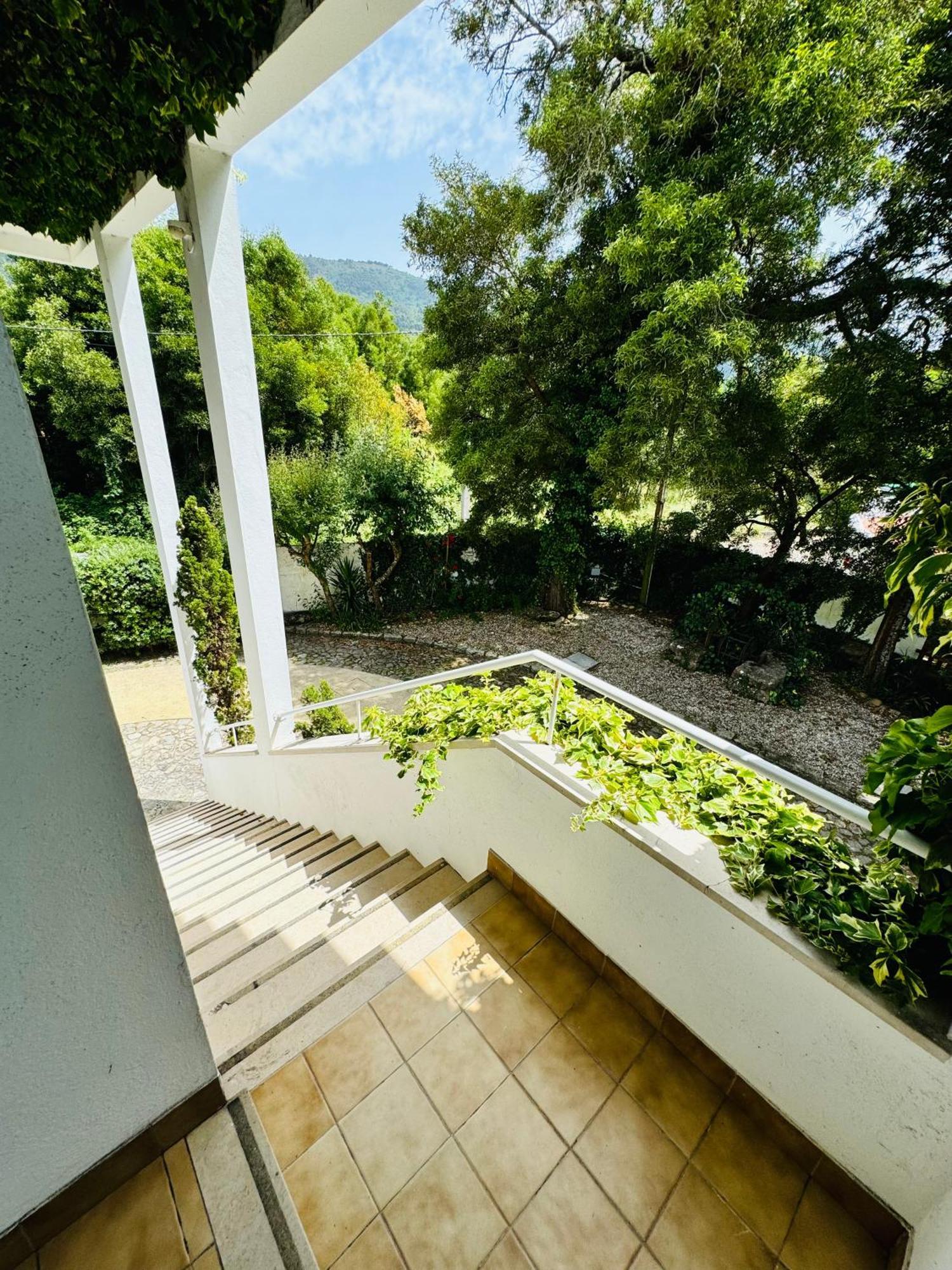 Nature & Beach Guest Rooms, Aldeamento Turistico Do Camarido Cristelo  外观 照片